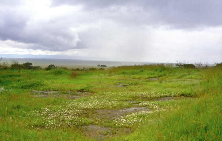 biodiversity-parks