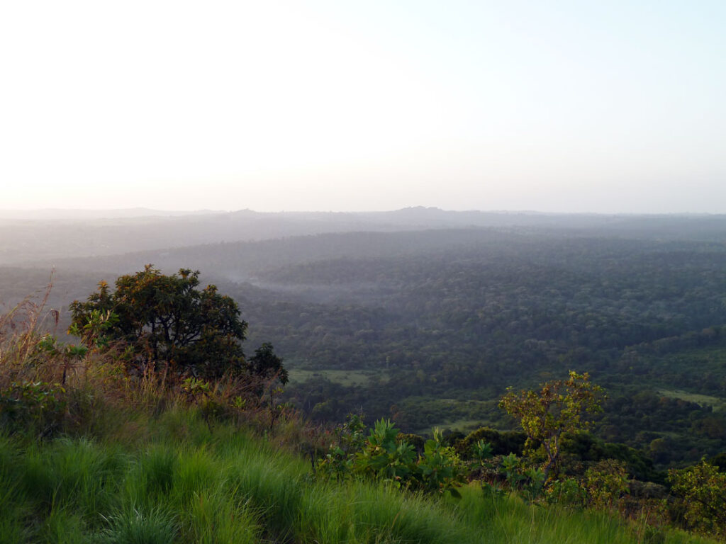 Kakamega-Forest