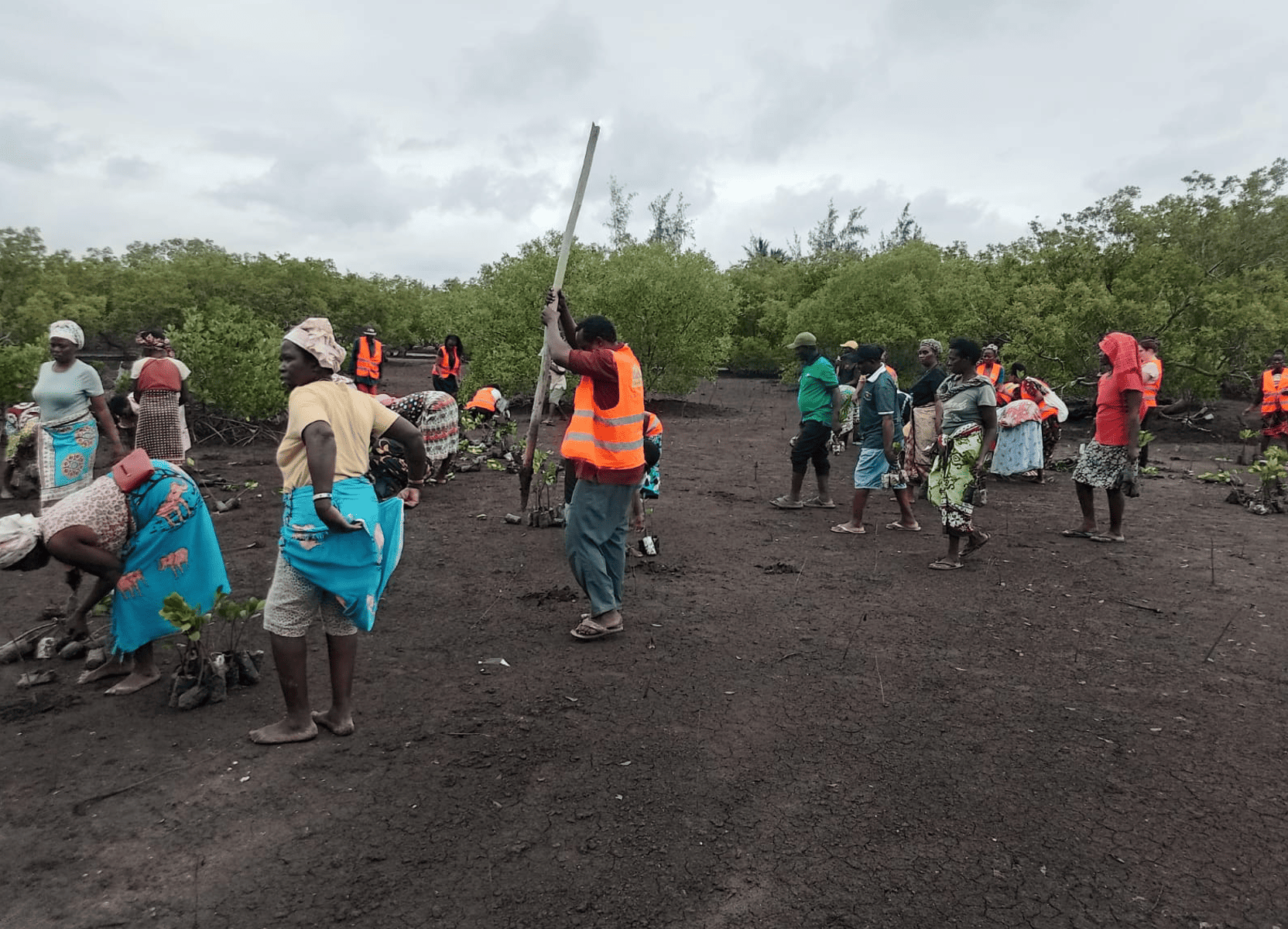 Community members prepare to plant mangrove seedlings at Mida Creek. Photo by Ngumbao Charo